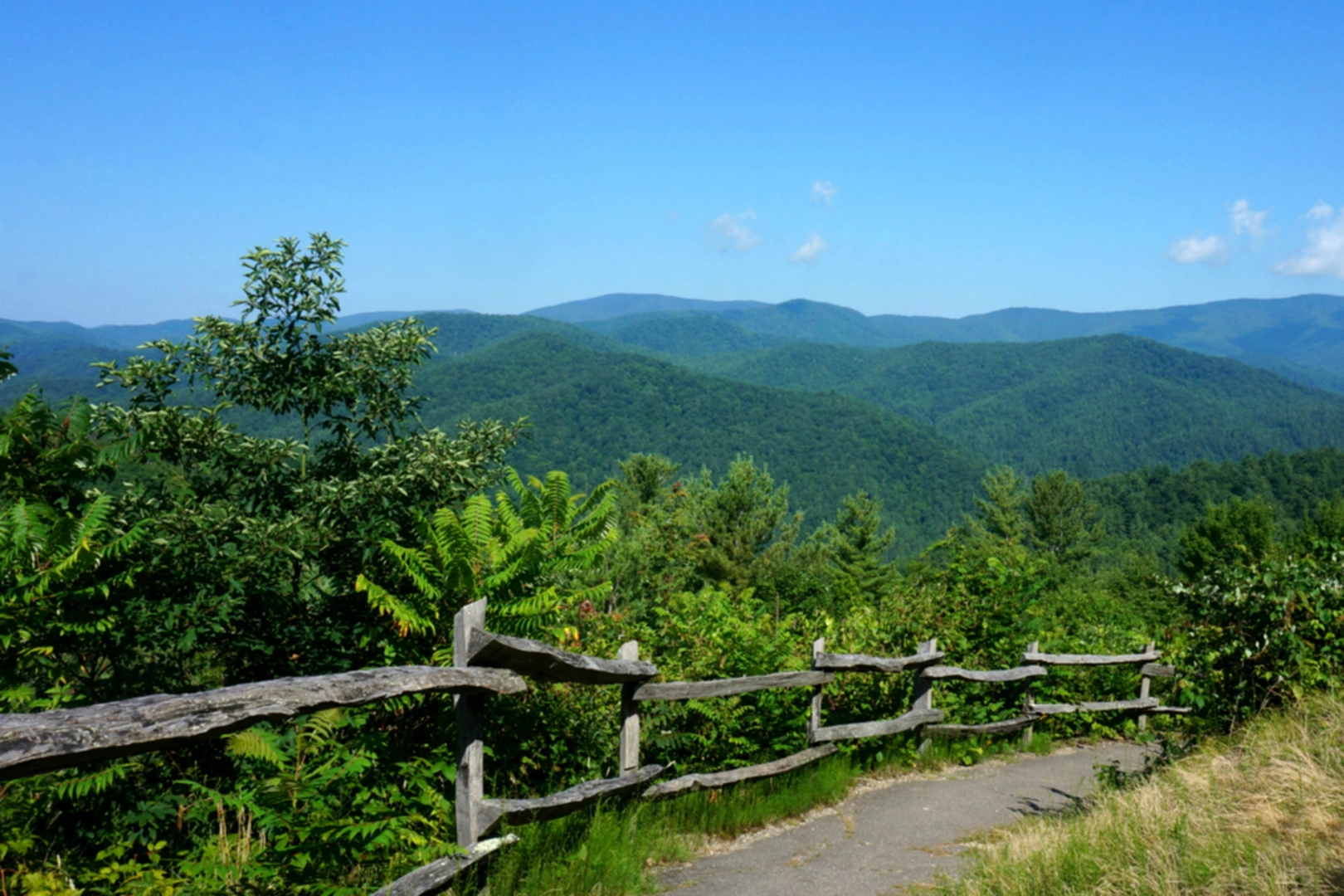 An image depicting the trail Old Cataloochee Turnpike Trail and its surrounding area.