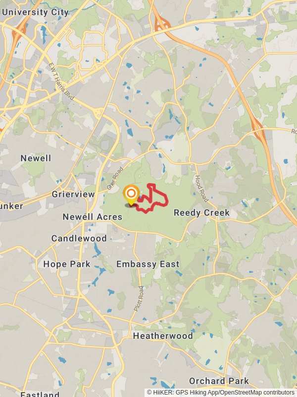 Dragonfly Pond - Reedy Creek Park Loop