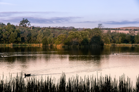 An image depicting the trail Waverley Lake Trail and its surrounding area.