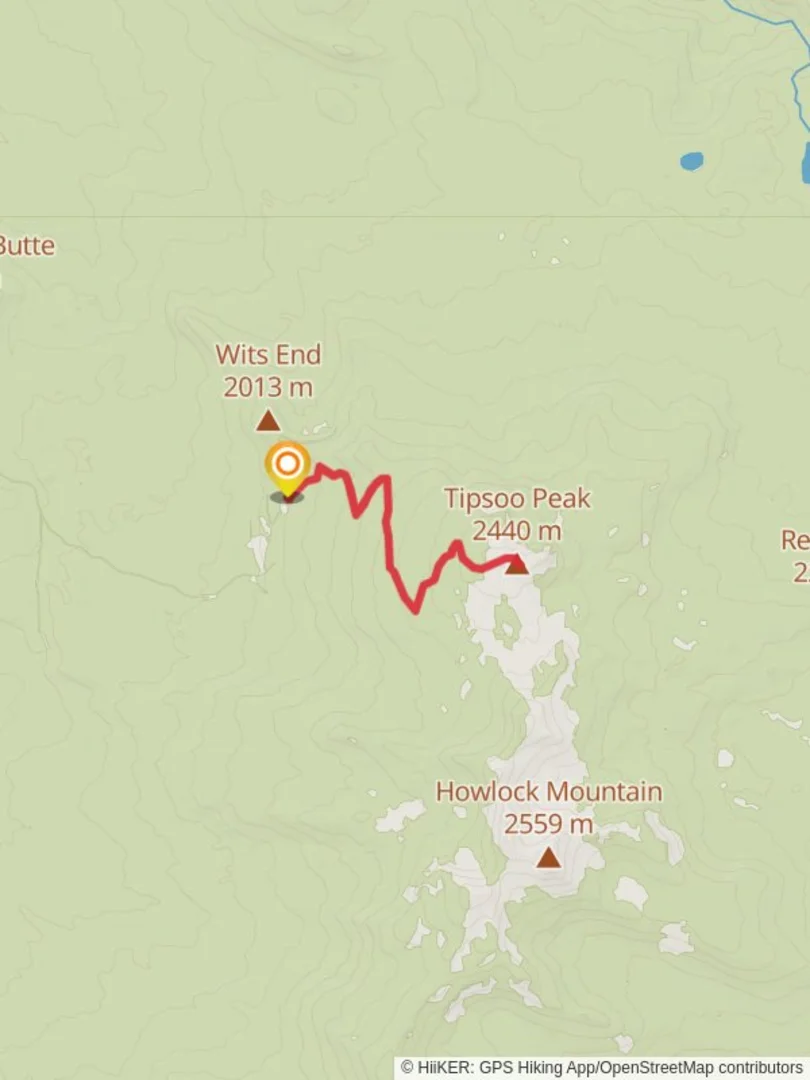 An image depicting the trail Tipsoo Peak Trail from Wits End Nordic and its surrounding area.
