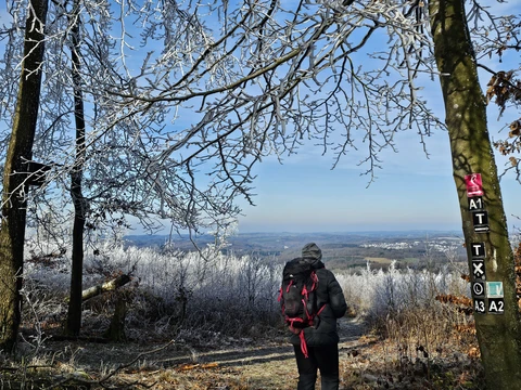 Homert und ehemaliger Truppenübungsplatz