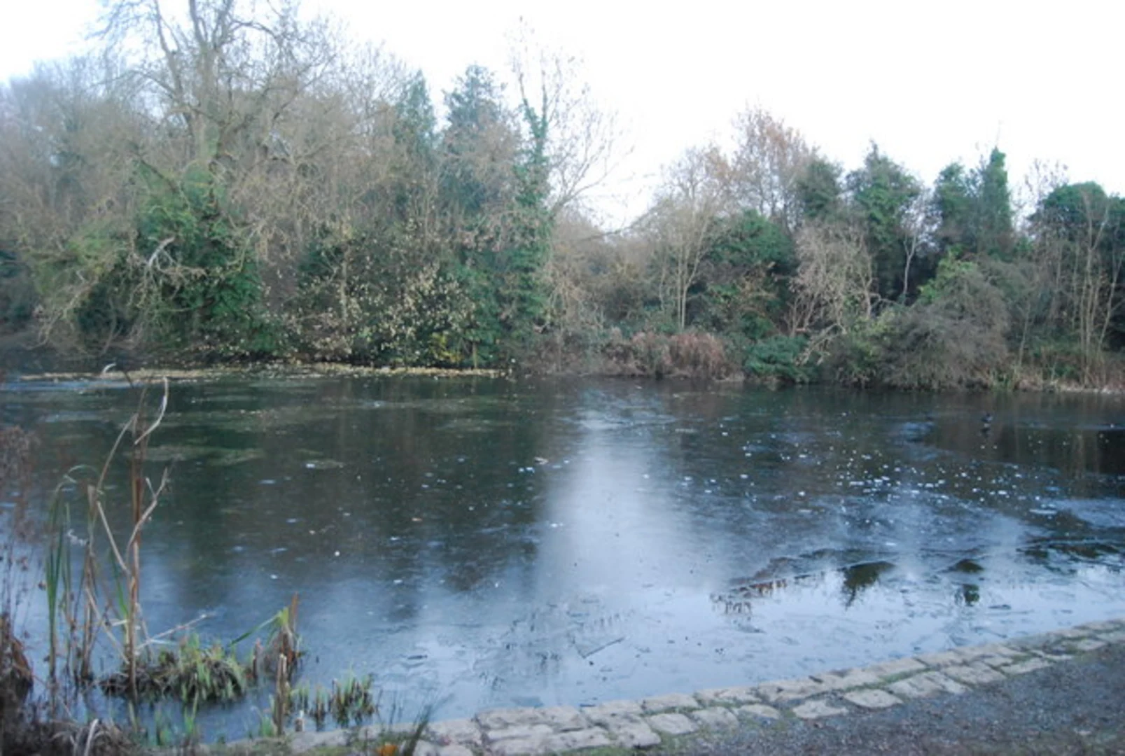 An image depicting the trail Vinters Valley Nature Reserve Loop and its surrounding area.