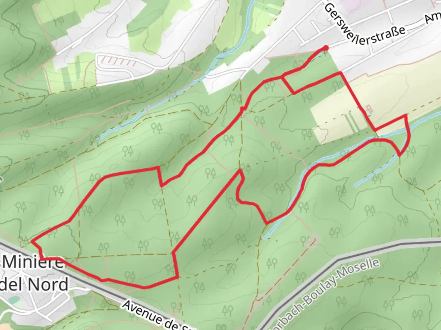 An image depicting the trail Stiftswald Loop and its surrounding area.