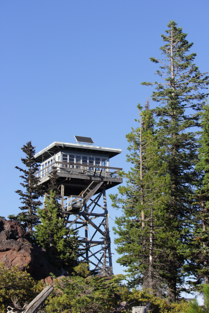 An image depicting the trail Tygh Creek Trail and its surrounding area.