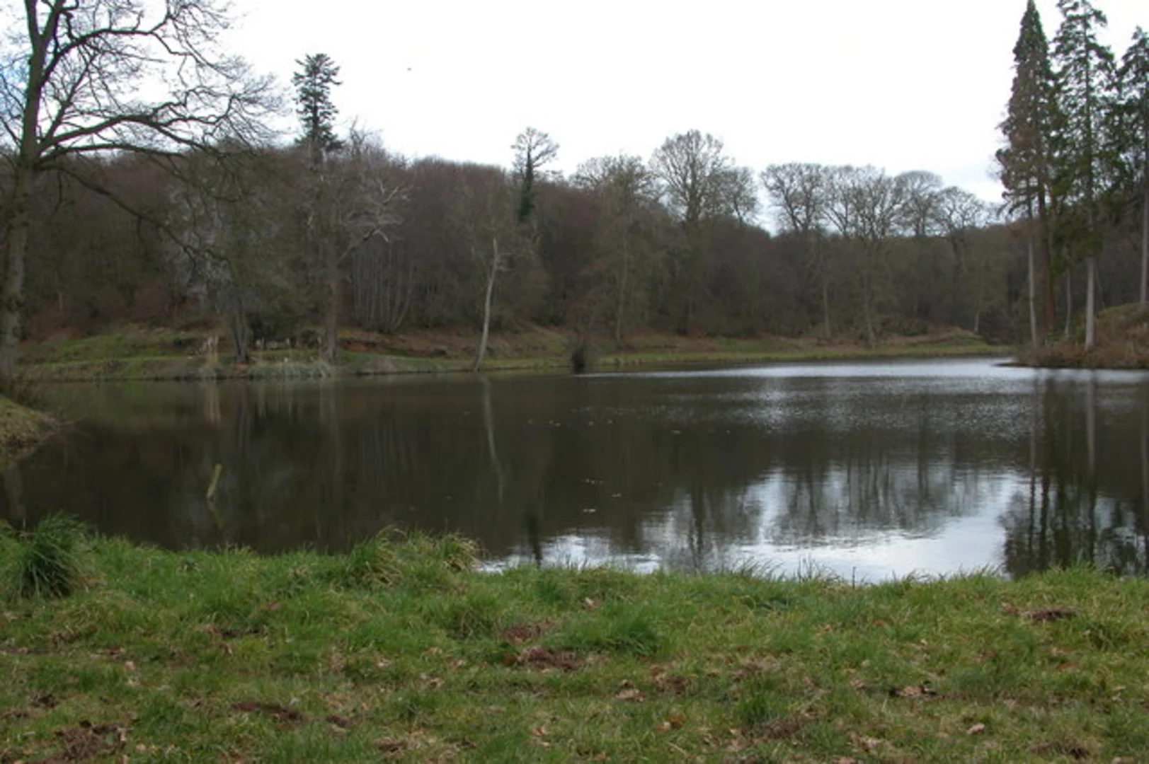 An image depicting the trail Shrawley Wood Walk and its surrounding area.