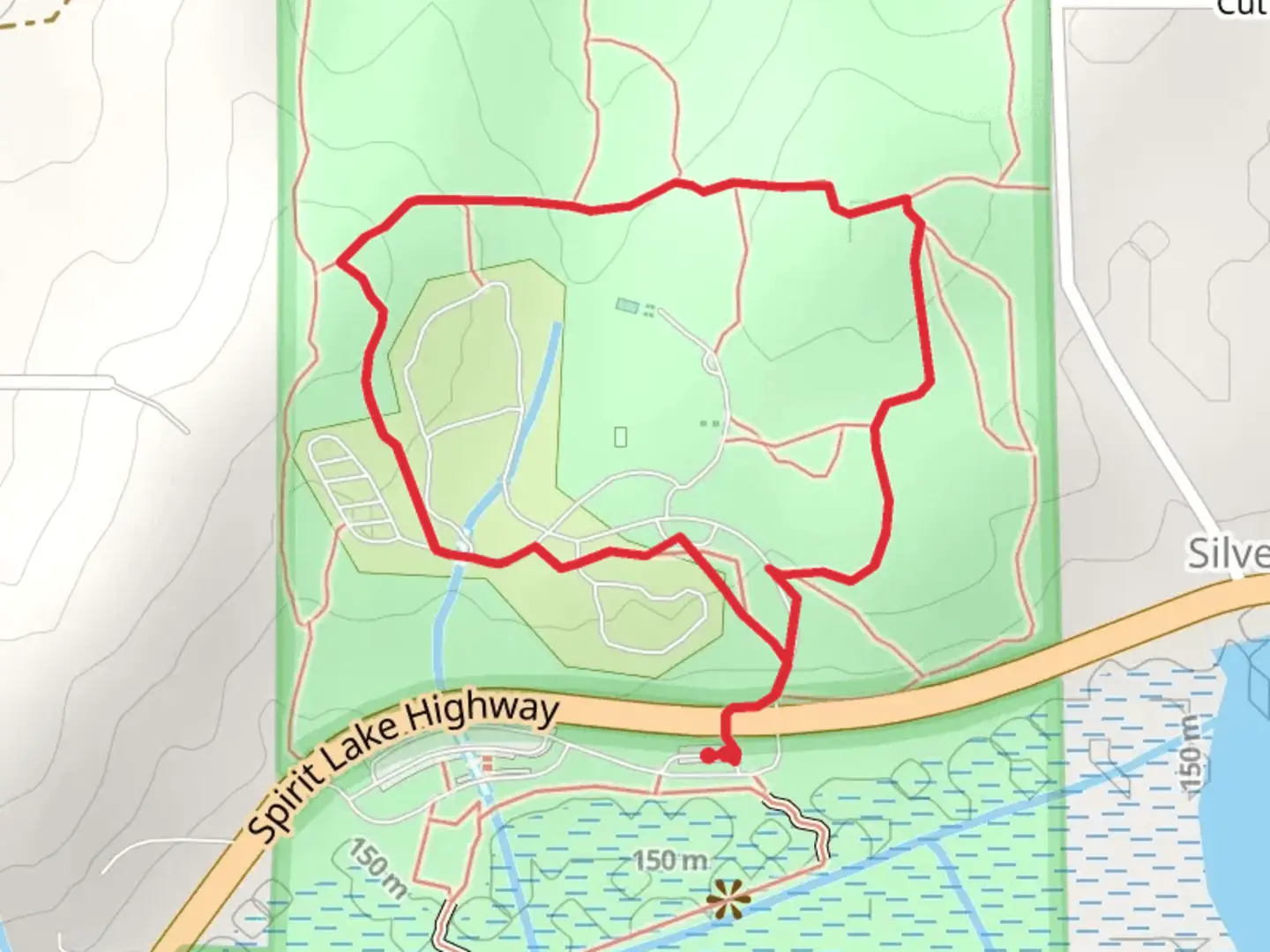 An image depicting the trail Seaquest State Park Loop and its surrounding area.
