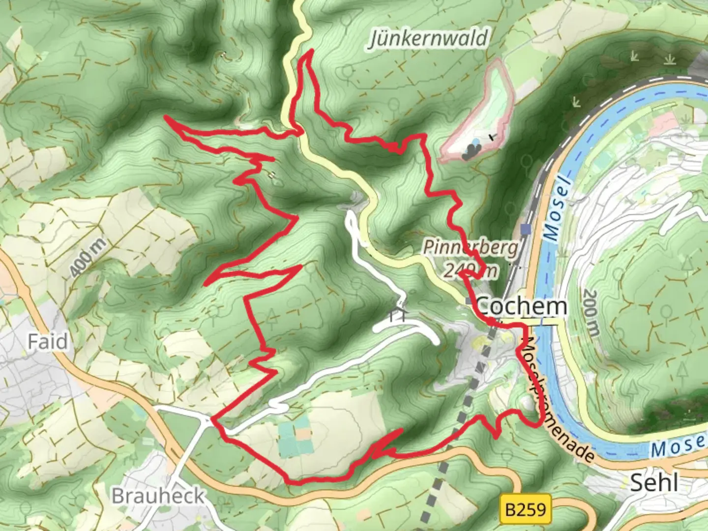 An image depicting the trail Cochem West Loop via Ruine Winneburg and its surrounding area.