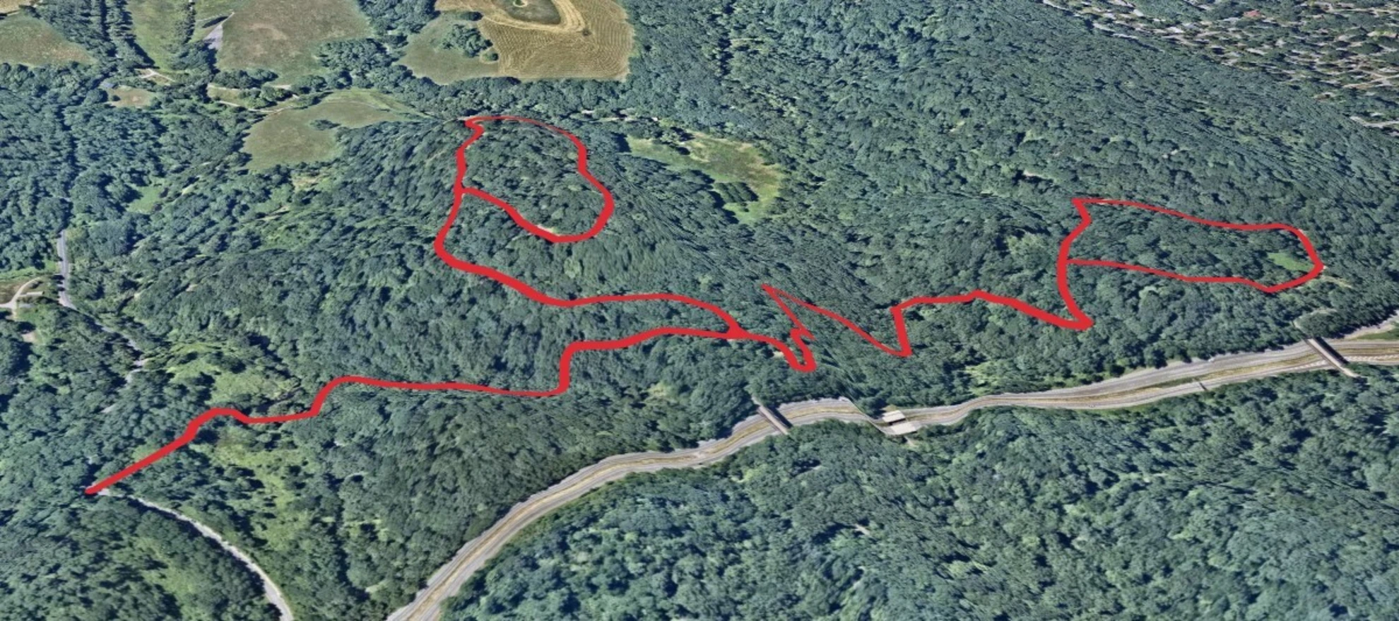 An image depicting the trail Big Tree Loop via Eagle Hill Trail and its surrounding area.
