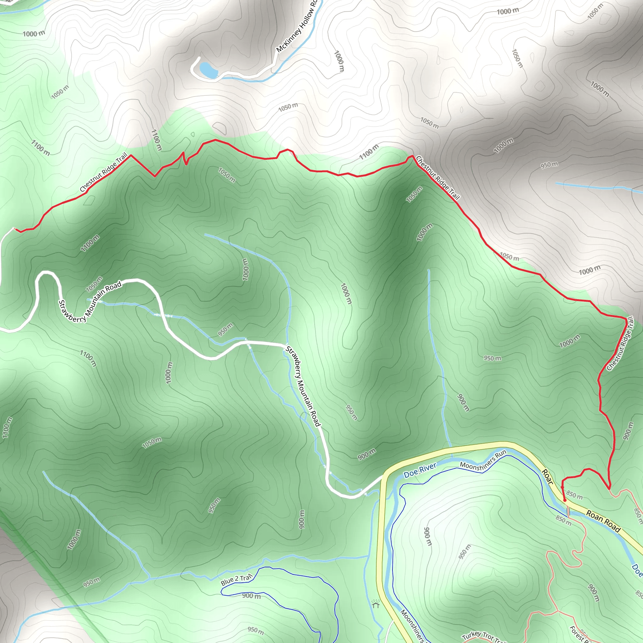 Chestnut Ridge Trail mobile static map