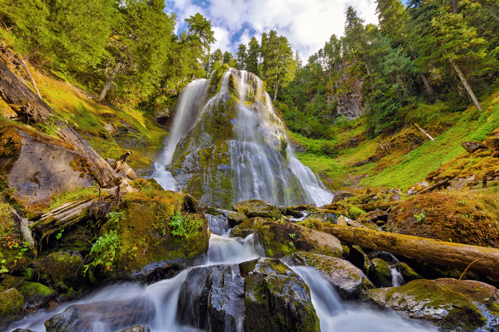 An image depicting the trail Upper Falls Creek Trail and its surrounding area.