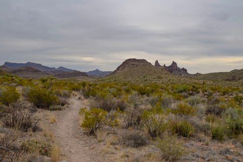 An image depicting the trail Mule Ears Spring Trail and its surrounding area.