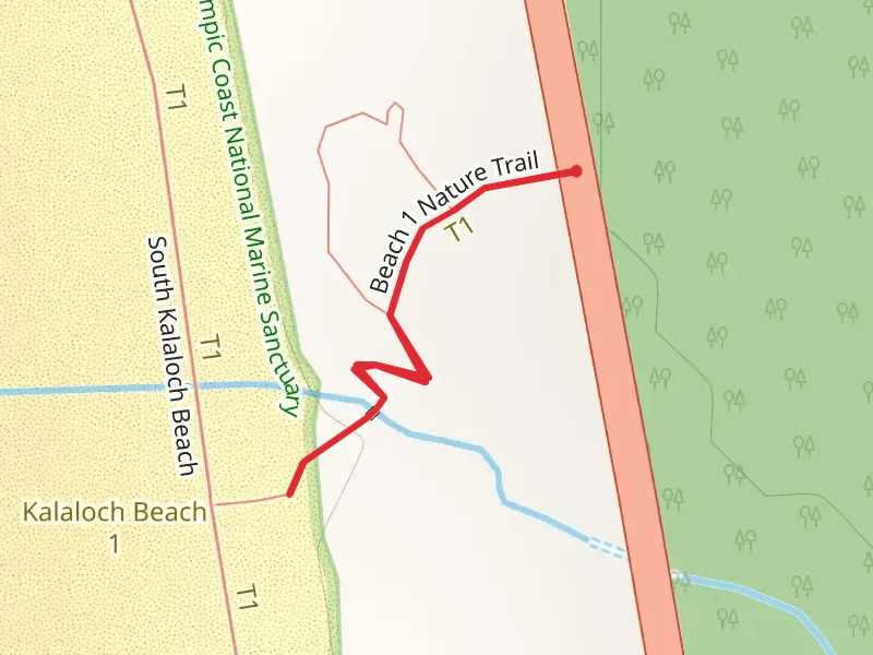 Beach 1 Nature Trail