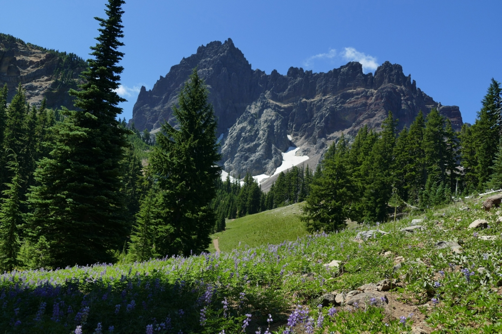 An image depicting the trail Hunts Cove via Bingham Ridge Trail and its surrounding area.