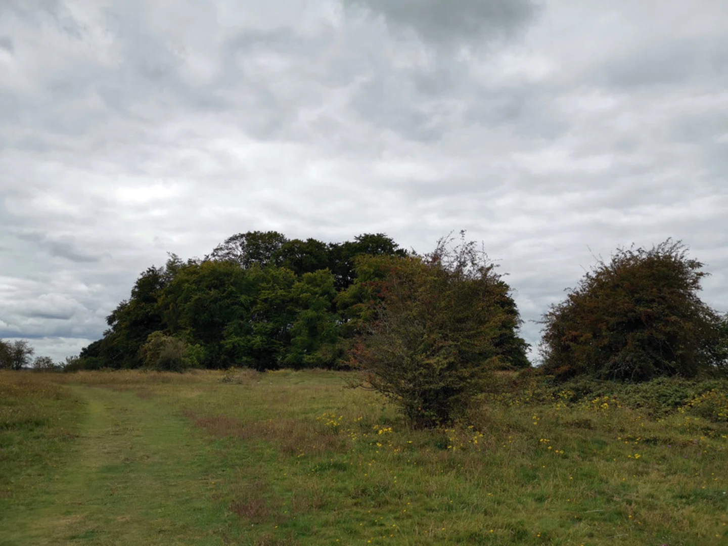 An image depicting the trail St Catherine’s Hill via Clarendon Way and its surrounding area.