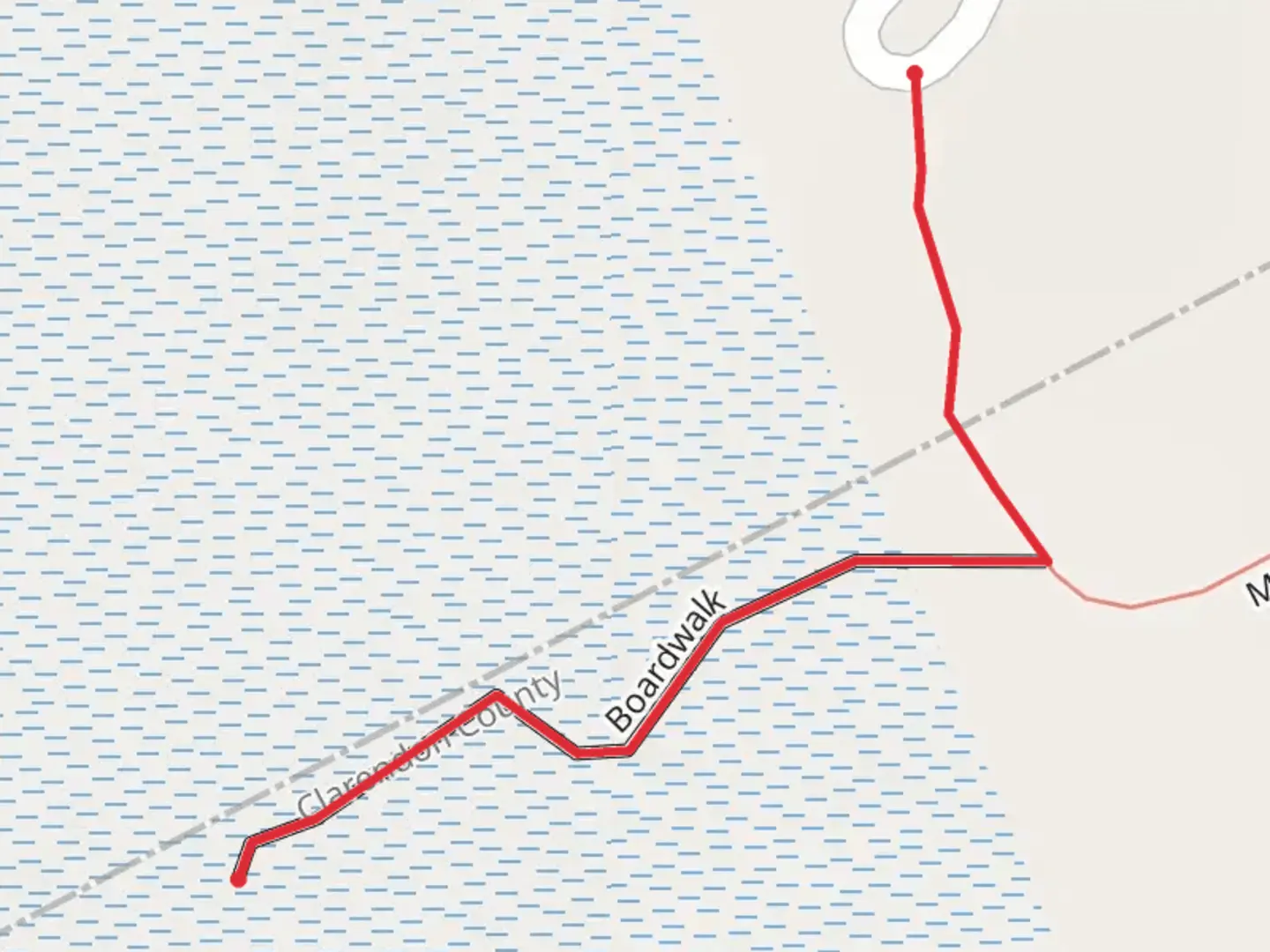 An image depicting the trail Boardwalk and its surrounding area.