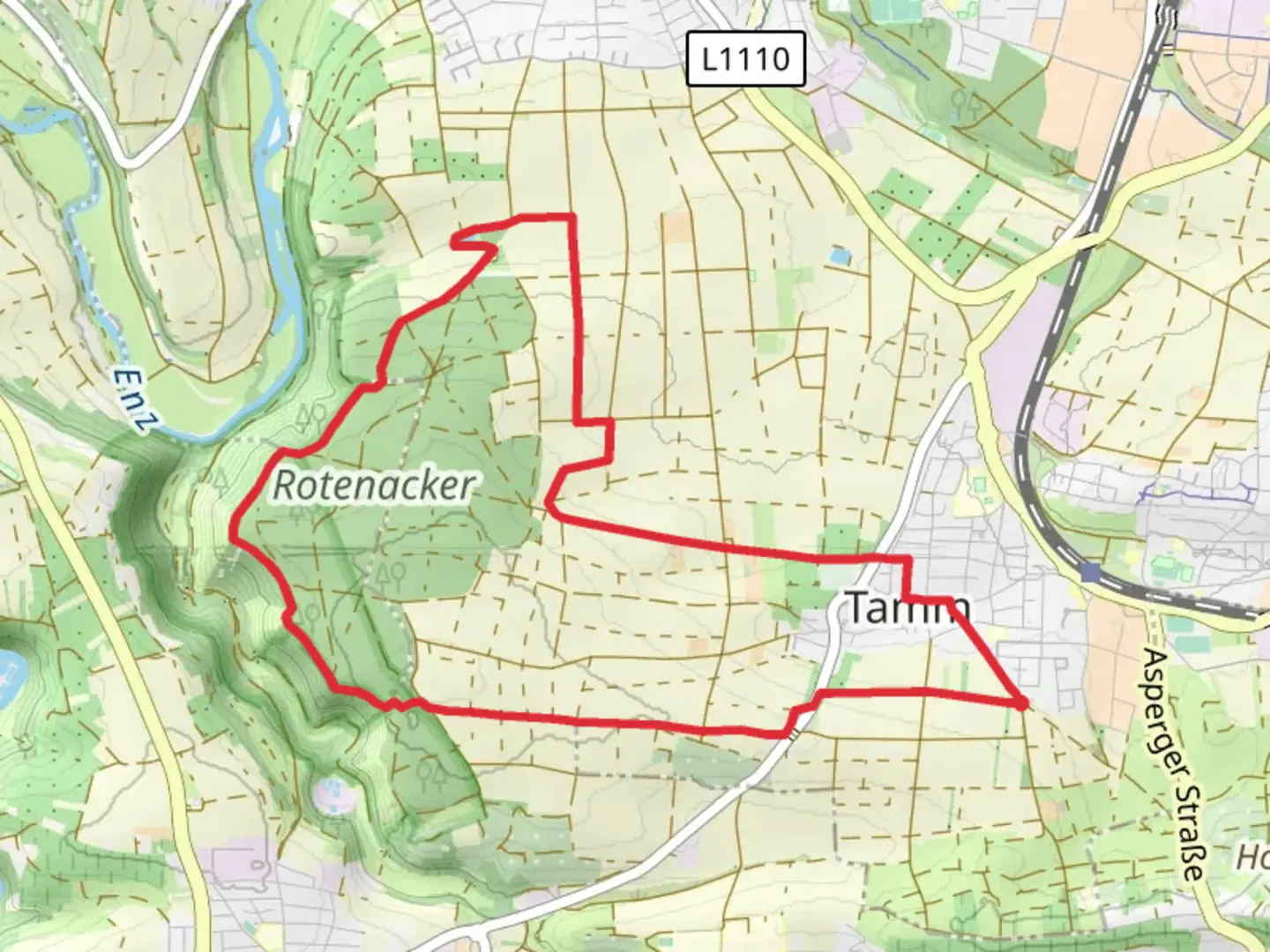 An image depicting the trail Rotenackerstraße Loop - Tamm and its surrounding area.