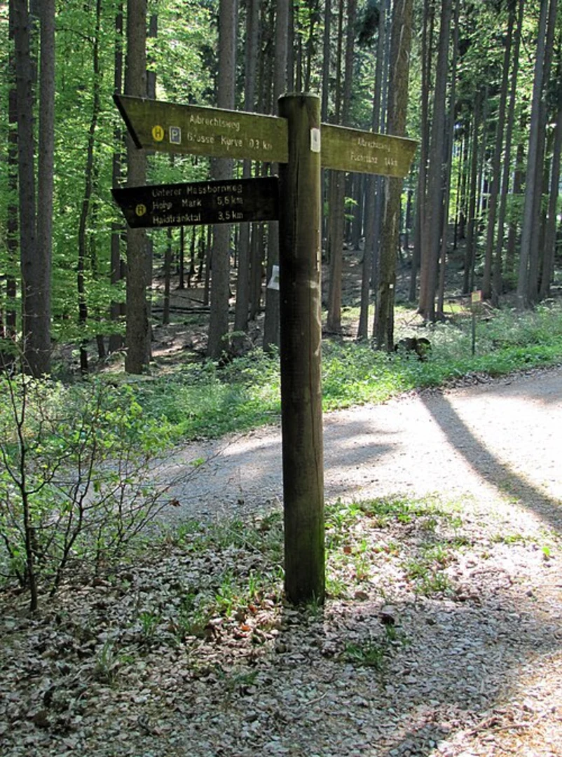 An image depicting the trail Weiße, Mauer Altkönig and Fuchstanz Loop and its surrounding area.