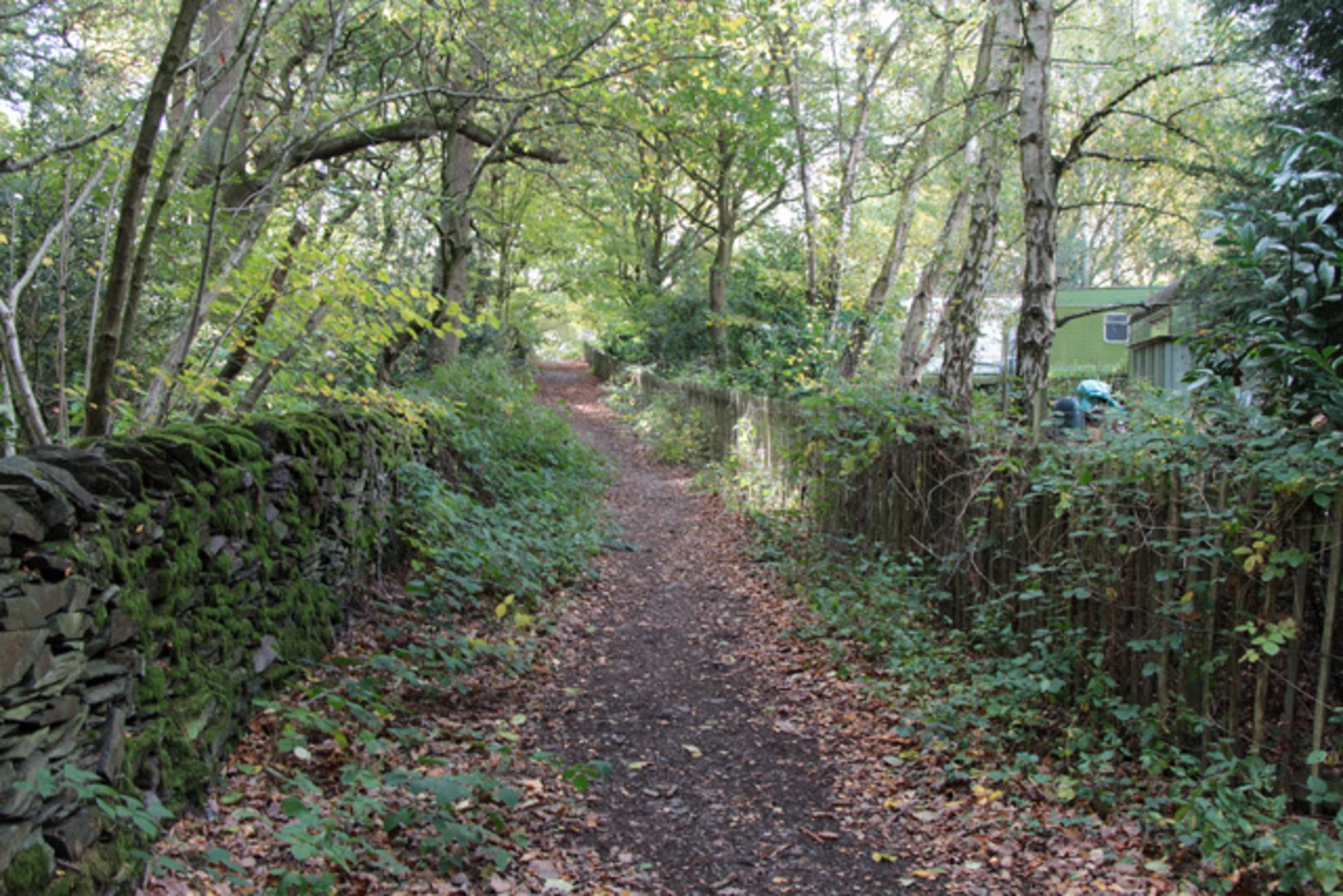 An image depicting the trail Swithland Woods Loop and its surrounding area.