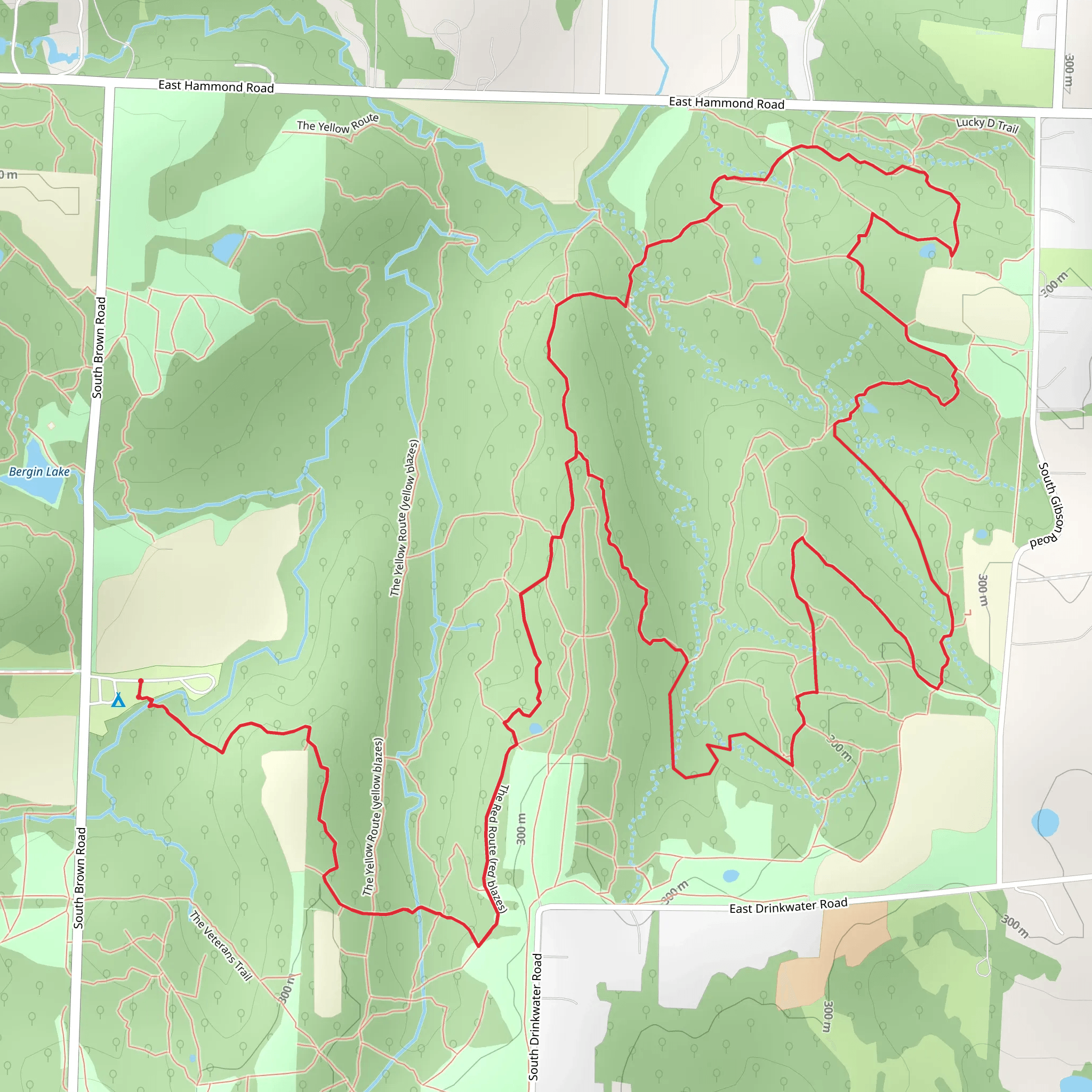 The Red Route - Blue and Gray Park Loop mobile static map