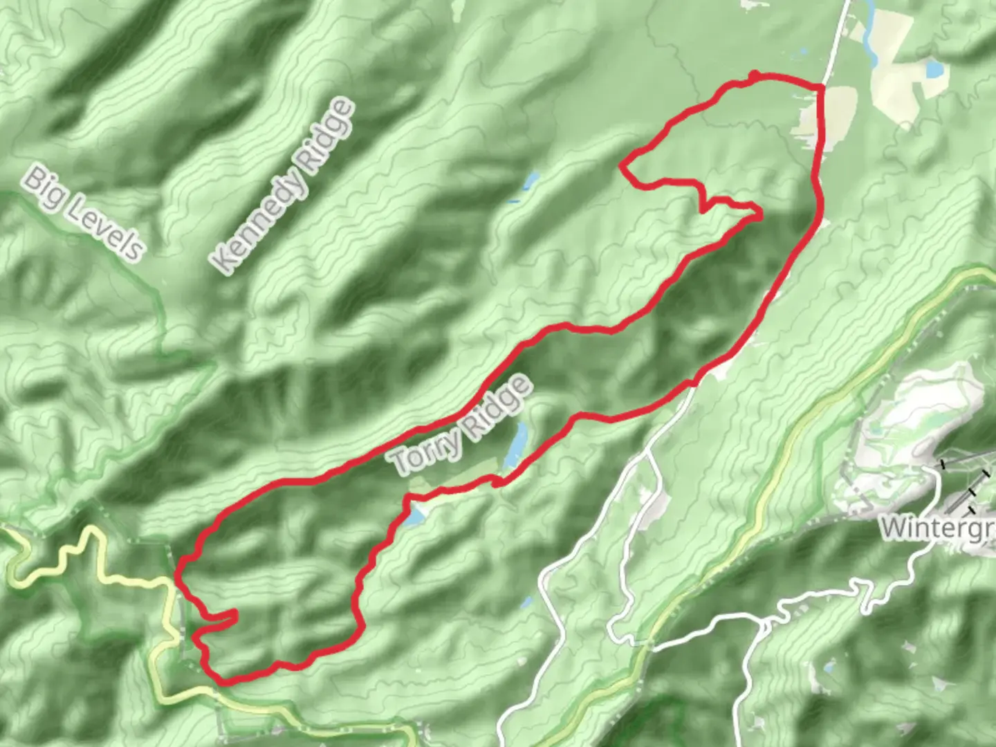 An image depicting the trail Mills Creek, Torry Mountain and White Rock Gap Loop Trail and its surrounding area.