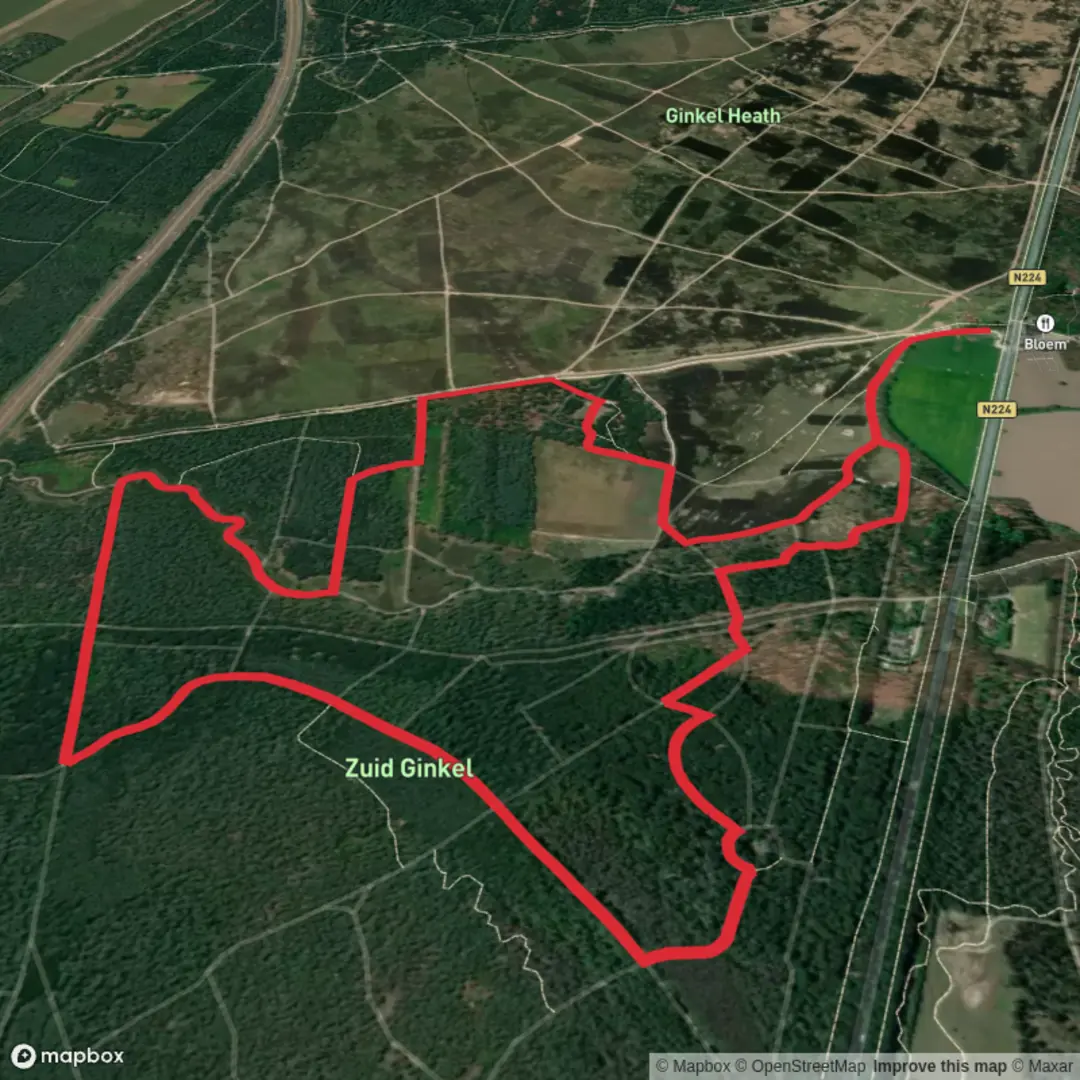 An image depicting the trail Grafheuvels, Het Wijde Veld and Mechelsche Kuil Loop and its surrounding area.