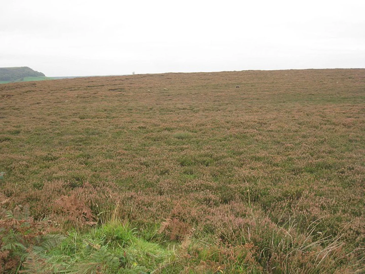 An image depicting the trail Lowna Bridge - Farndale and Harland Moor and its surrounding area.