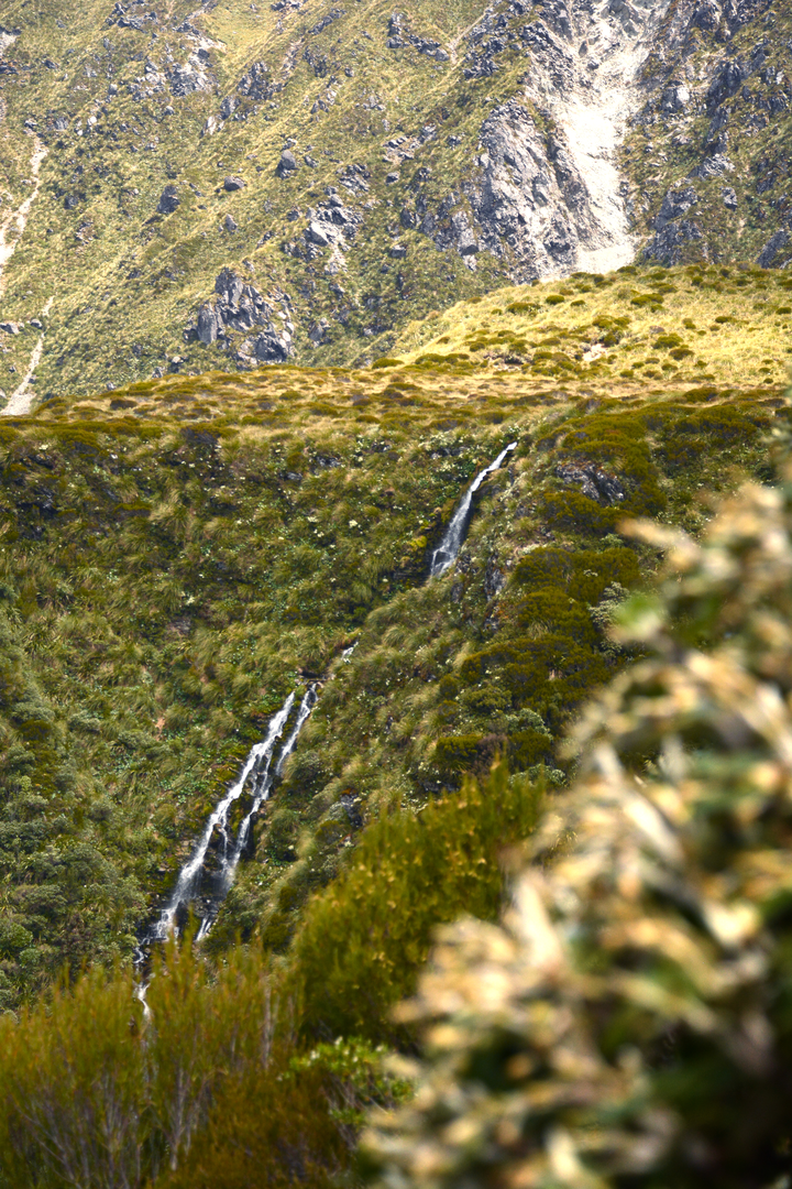 An image depicting the trail Carroll Hut Track and its surrounding area.