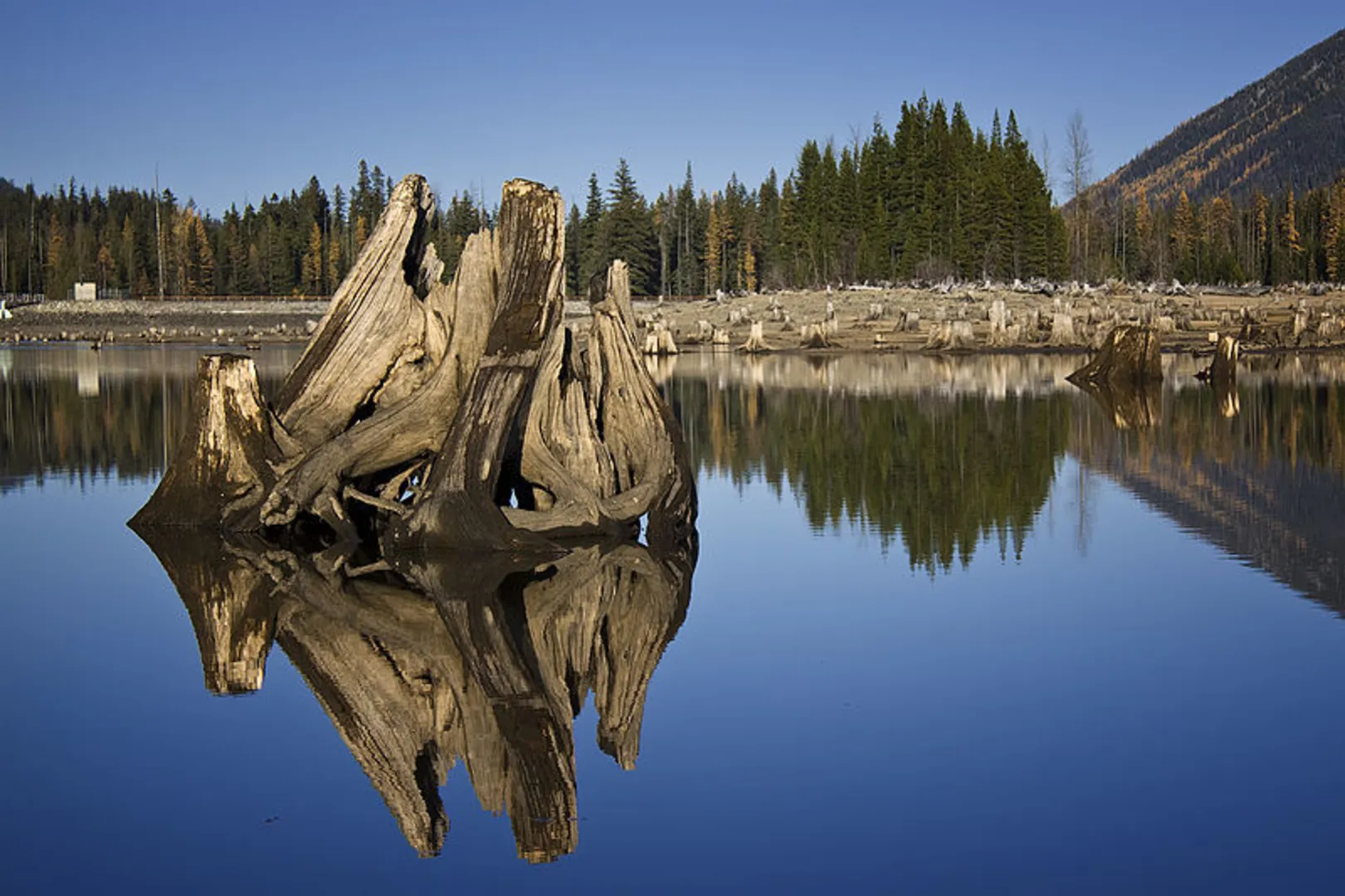 An image depicting the trail Bumping Lake Trail and its surrounding area.