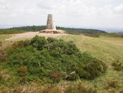 An image depicting the trail Wills Neck Out and Back and its surrounding area.