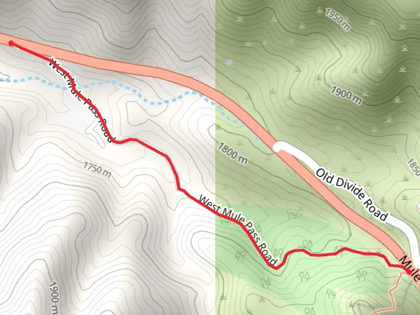 An image depicting the trail West Mule Pass Road Walk and its surrounding area.