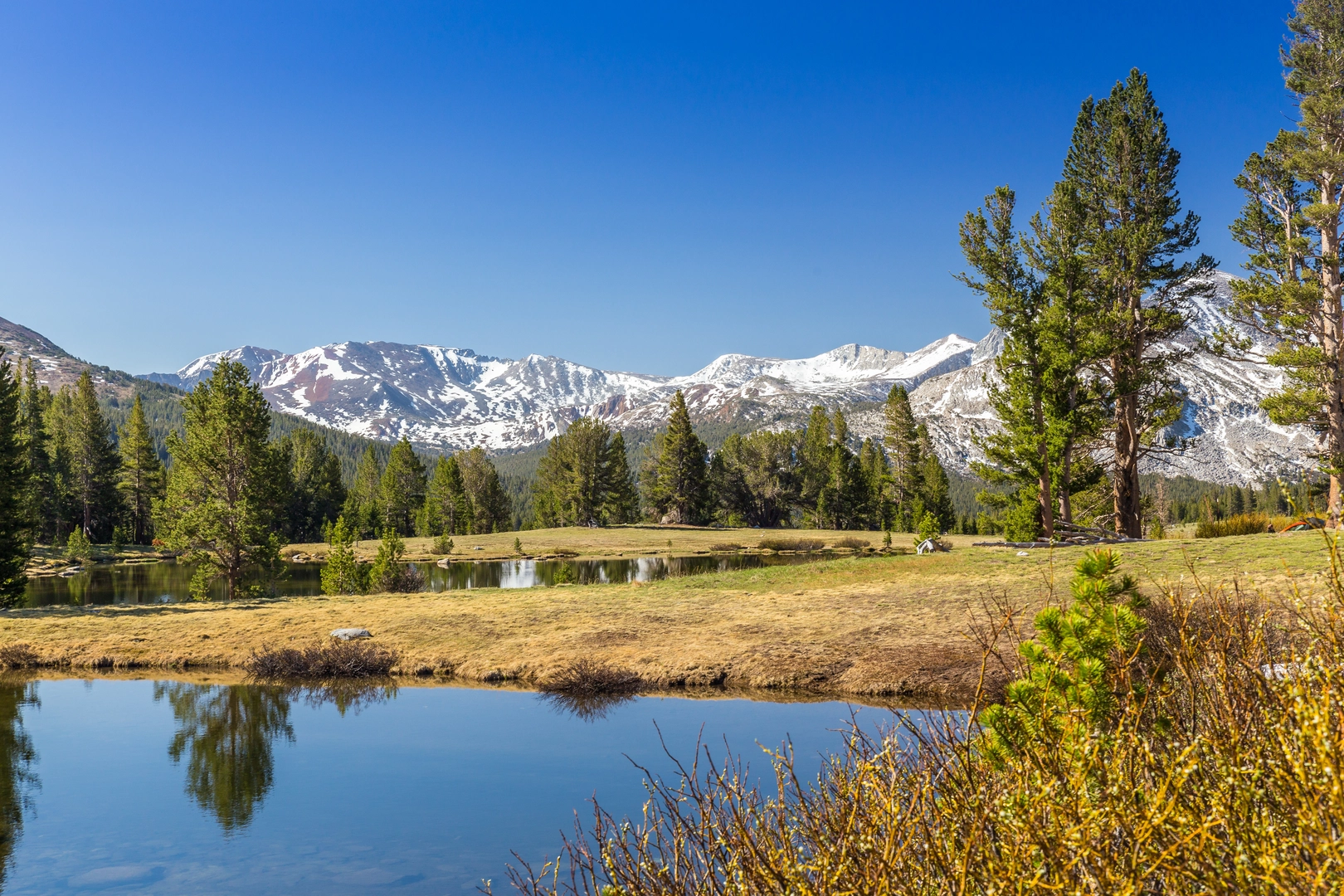 An image depicting the trail Tamarack Creek from Tioga Pass Road and its surrounding area.
