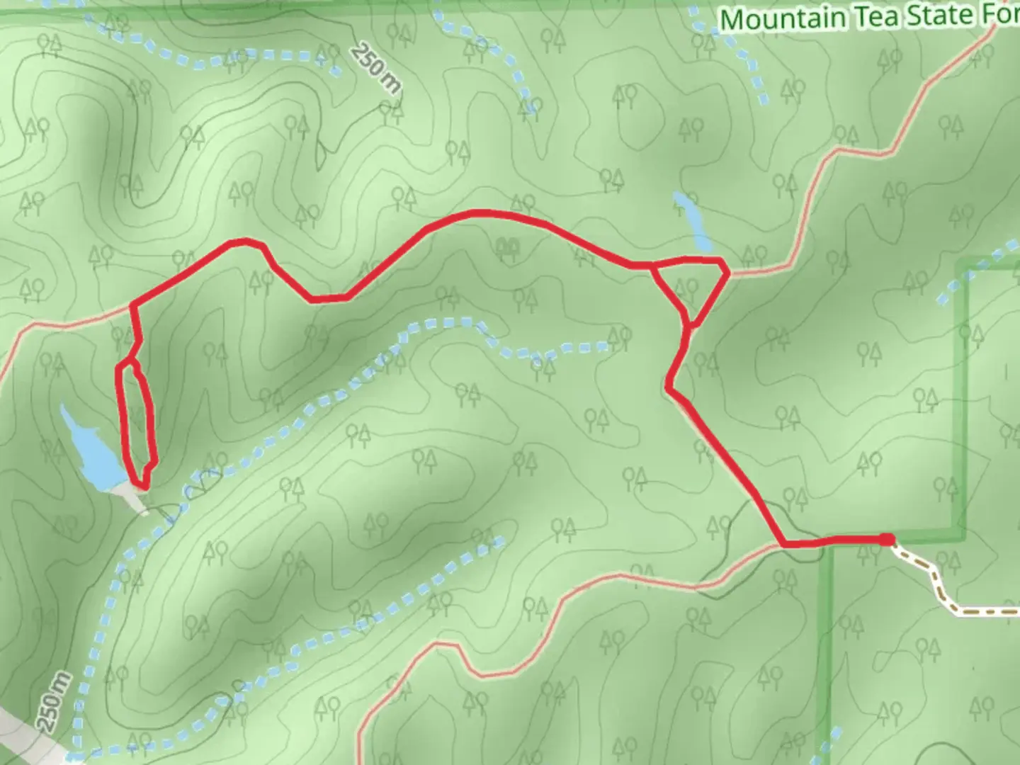 An image depicting the trail Tea Ridge Walk and its surrounding area.