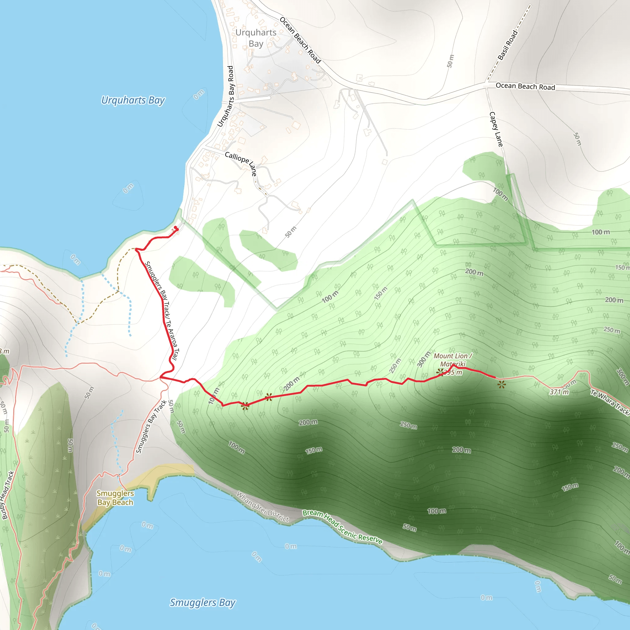 Mount Lion Track mobile static map