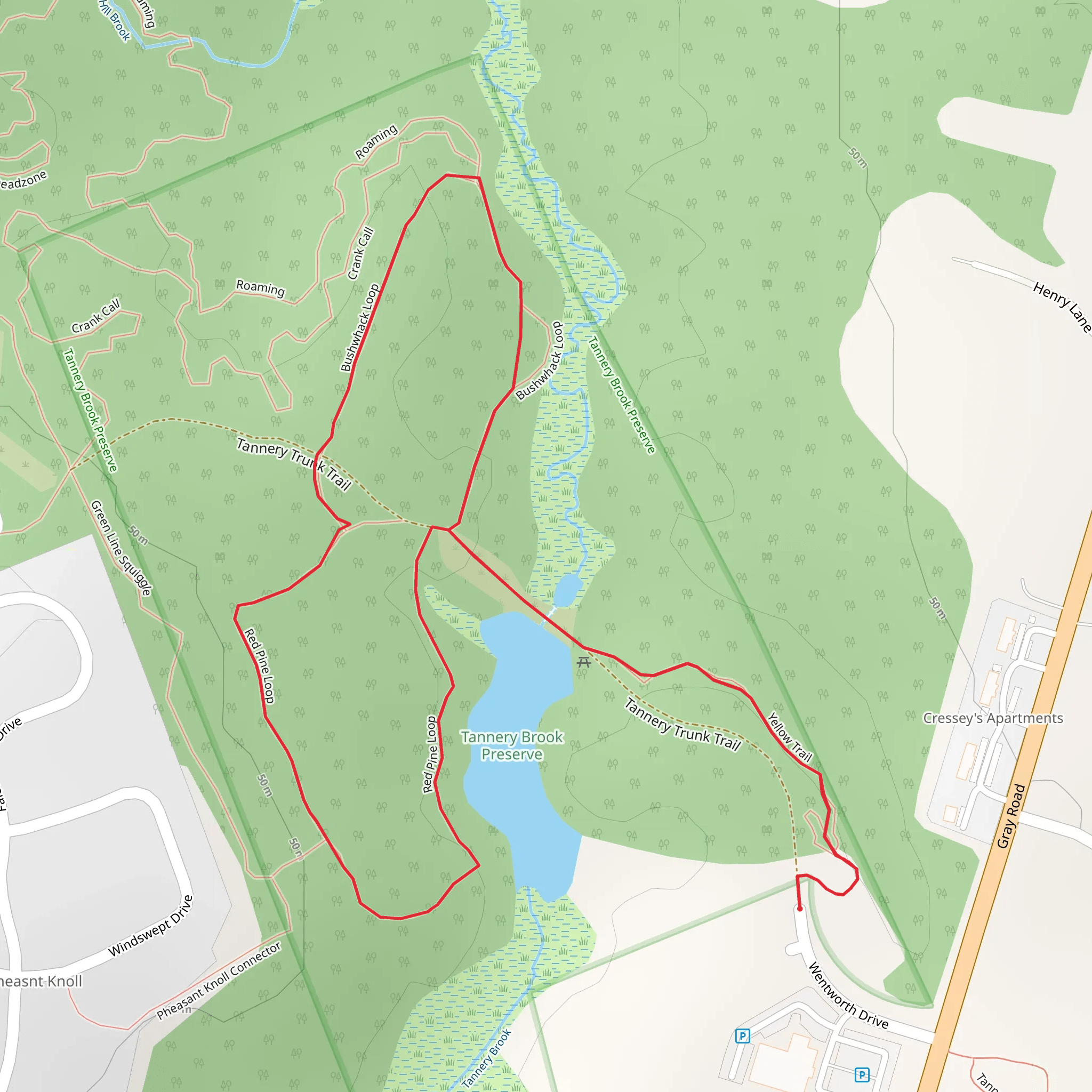Tanney Brrok via Red Pine Loop and Bushwhack Loop mobile static map