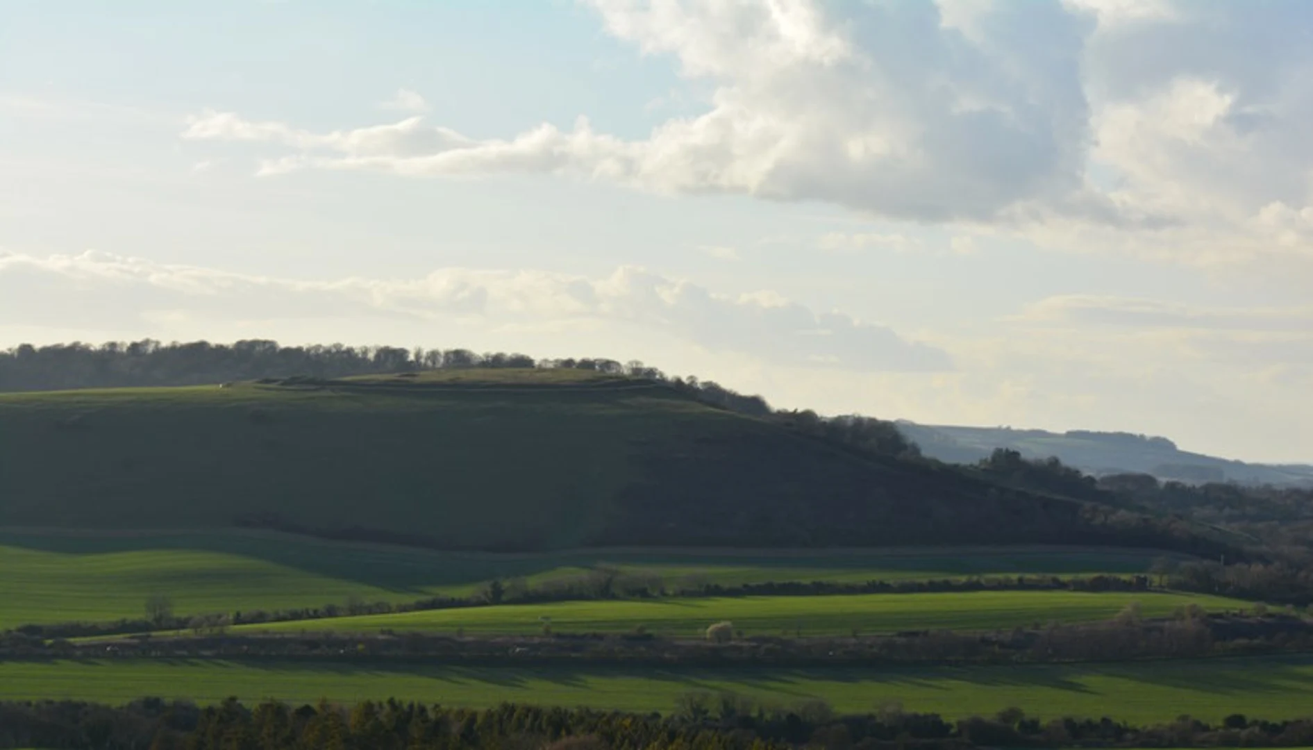 An image depicting the trail Beacon Hill and Old Burghclere Loop and its surrounding area.
