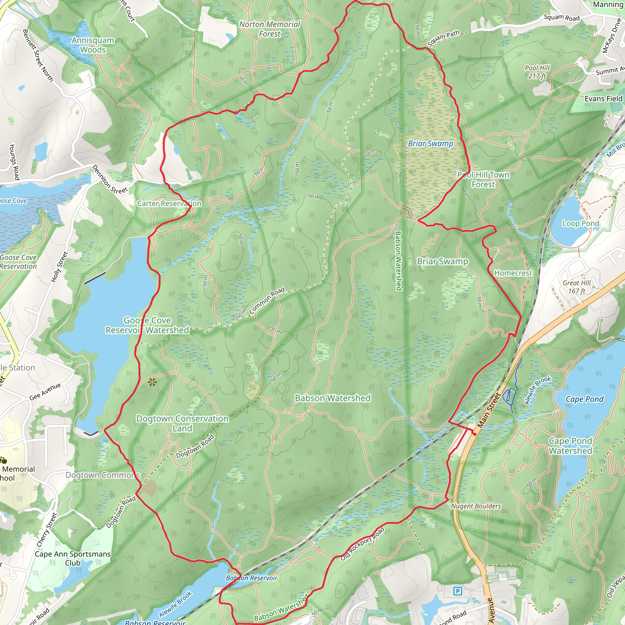 Dogtown Woods South Loop Trail mobile static map