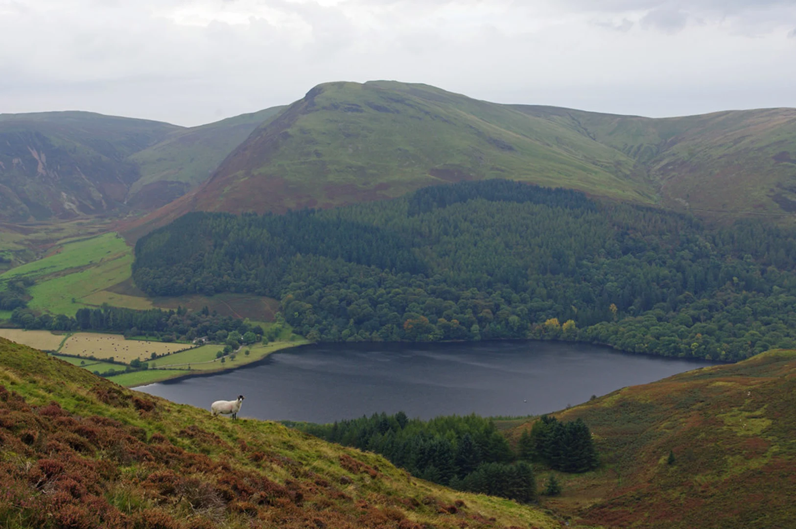 An image depicting the trail Loweswater Lake Walk and its surrounding area.