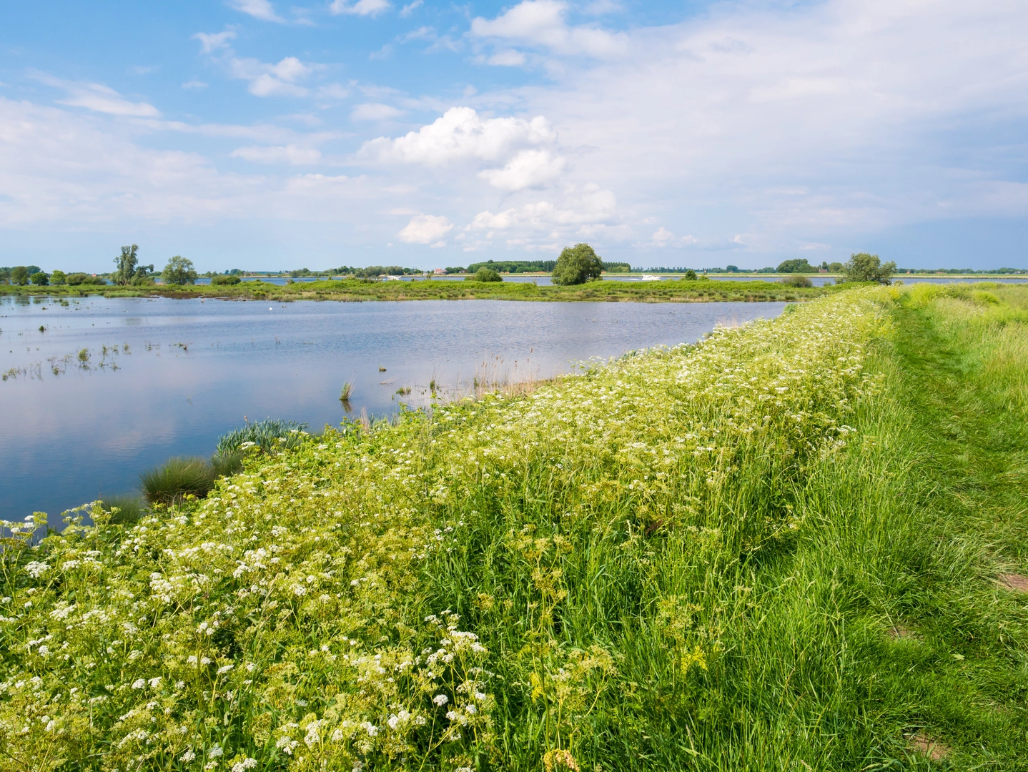 An image depicting the trail Tiengemeten Loop via Vliedberg and Ruine Aardappelloods and its surrounding area.