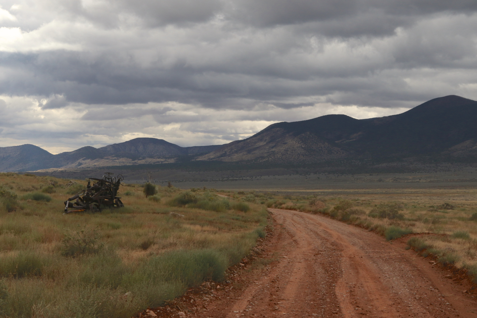An image depicting the trail Brady Hollow Trail and its surrounding area.