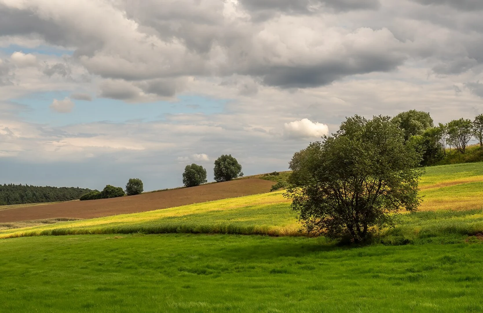An image depicting the trail Michaelsberger Wald Loop via Steigerwald Panoramaweg and its surrounding area.