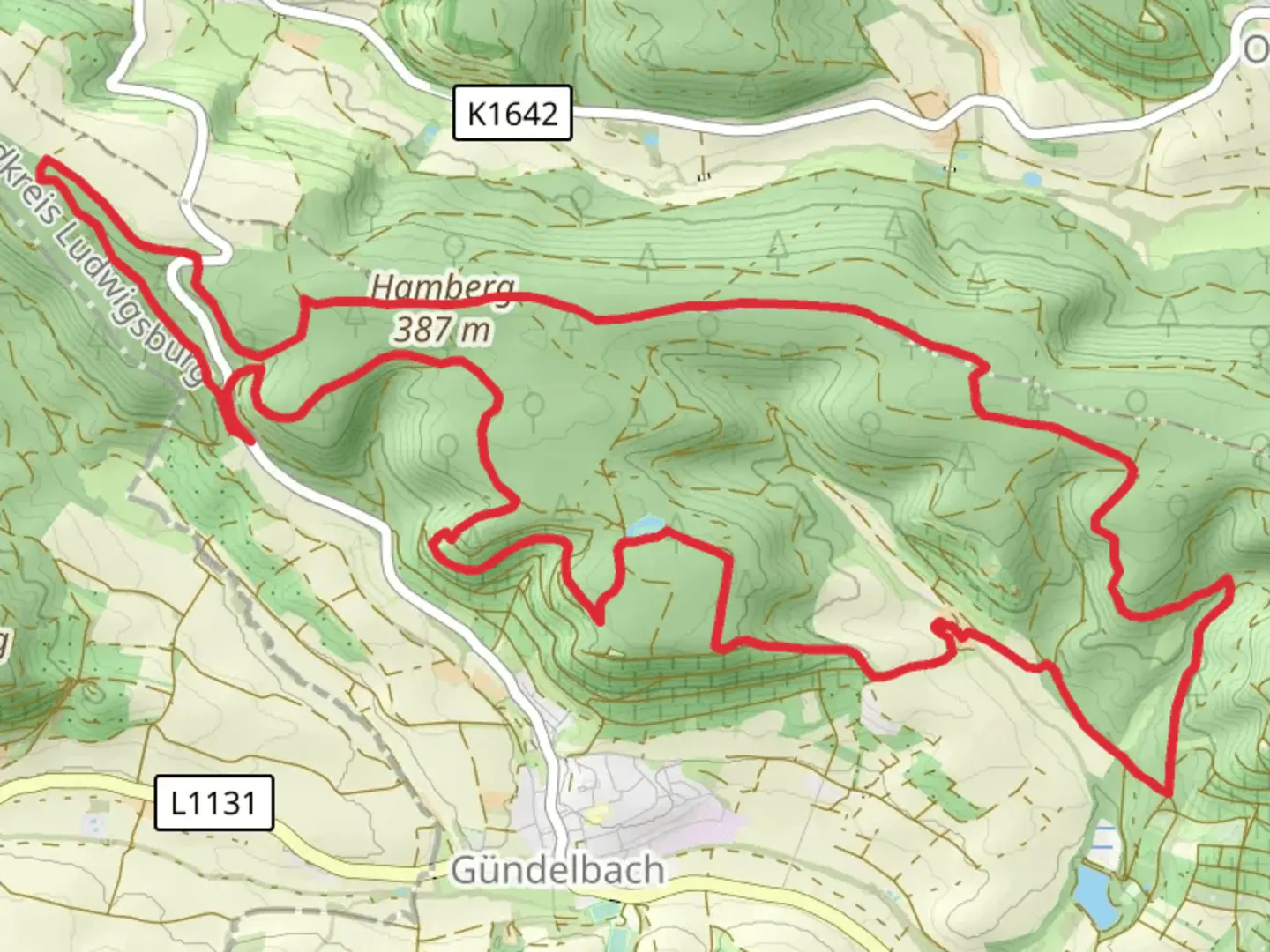 An image depicting the trail Steinbachhof Loop via Hamberg and its surrounding area.