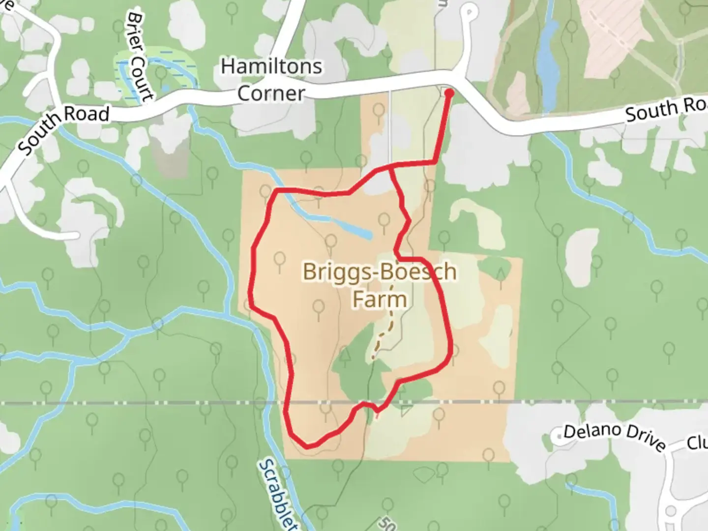 An image depicting the trail Scrabbletown Brook Loop - South Road and its surrounding area.
