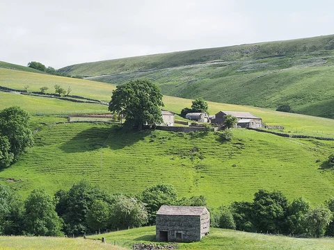 An image depicting the trail Wain Wath Force, Currack Force, Beldi Hill and East Gill Force Loop and its surrounding area.