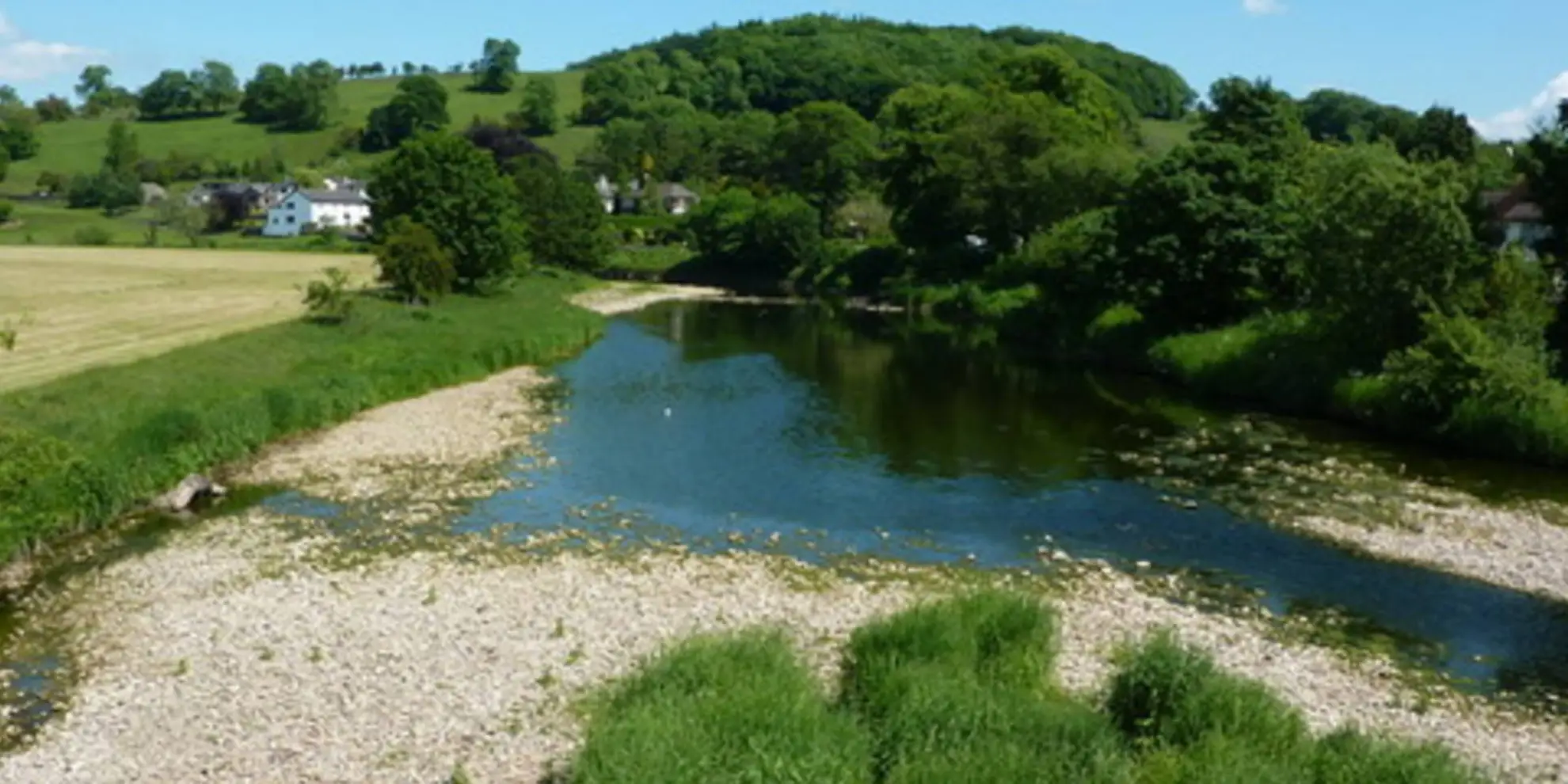 An image depicting the trail The Ribble Valley from Sawley and its surrounding area.