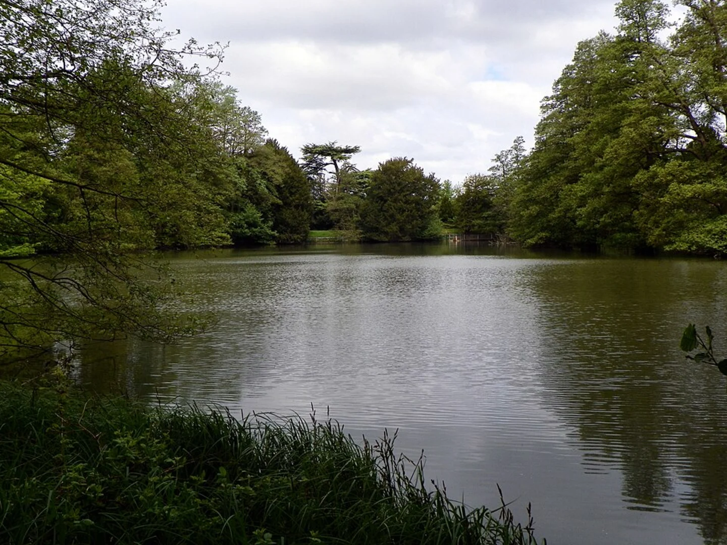 An image depicting the trail Upper Drakeloe Pond and Milton Wood and its surrounding area.