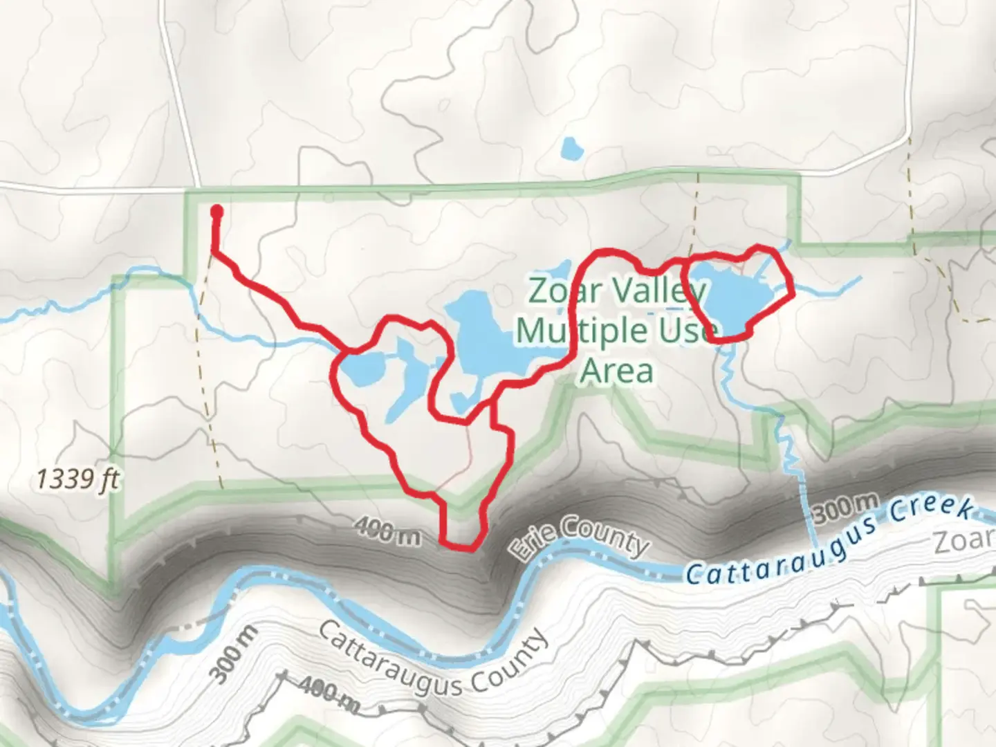 An image depicting the trail Holcomb Pond Loop and its surrounding area.