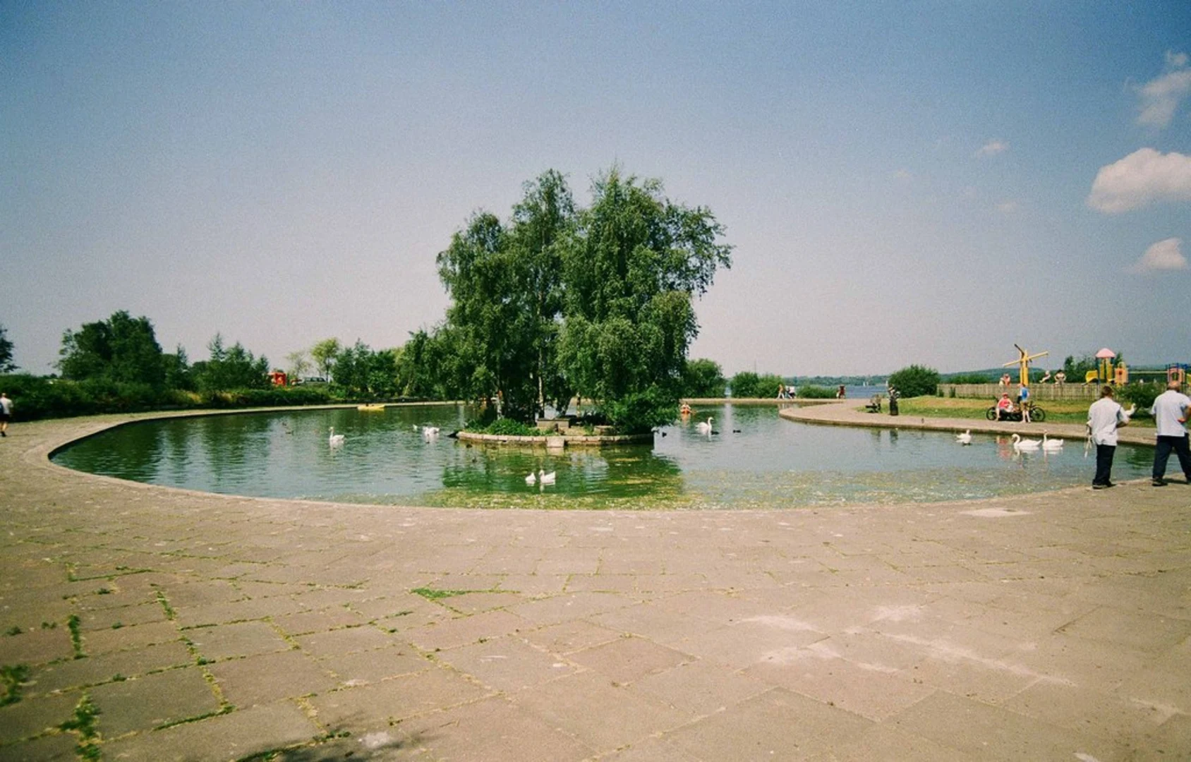An image depicting the trail Chasewater Country Park and its surrounding area.