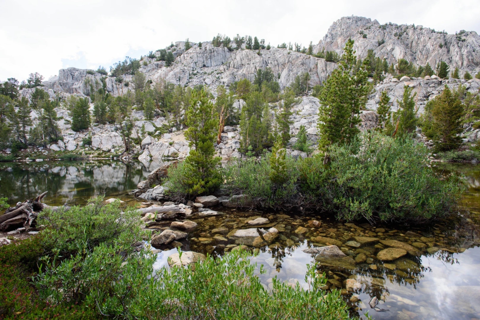 An image depicting the trail Lamarck Lakes Trail and its surrounding area.