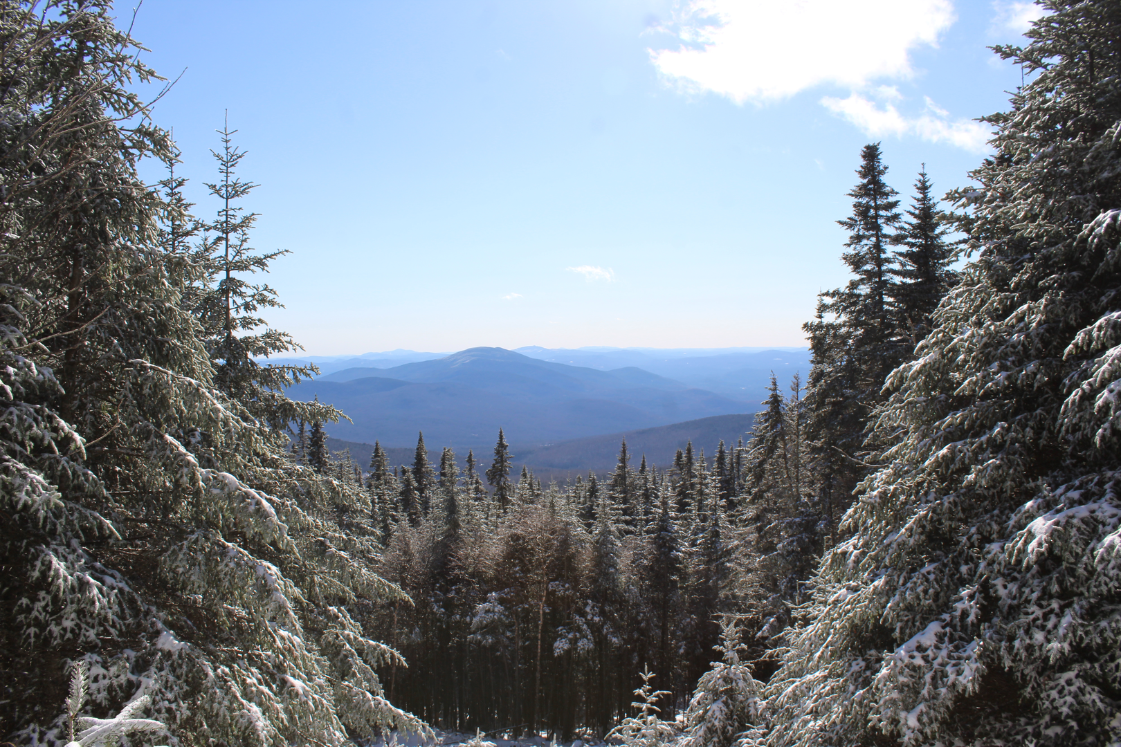 An image depicting the trail Tunnel Brook Loop and its surrounding area.