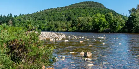 An image depicting the trail Craigendarroch Loop from Ballater and its surrounding area.